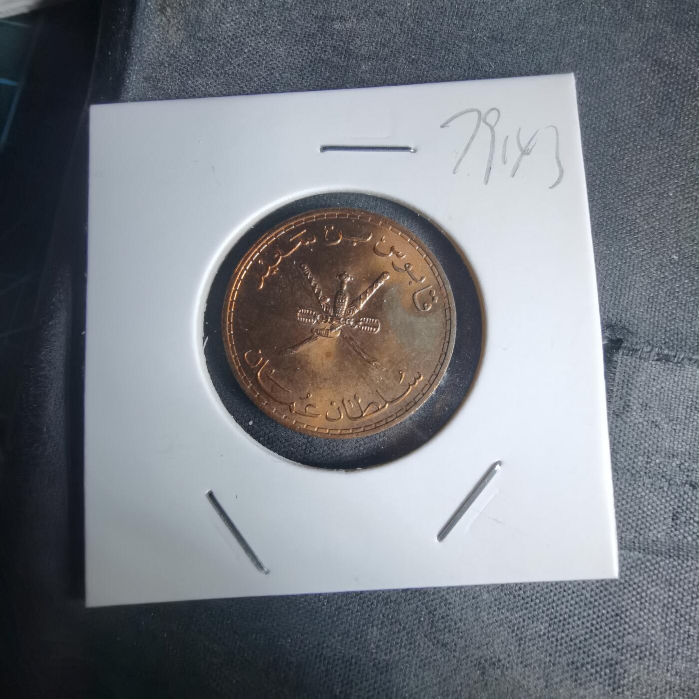 沼泽如烟--第975场