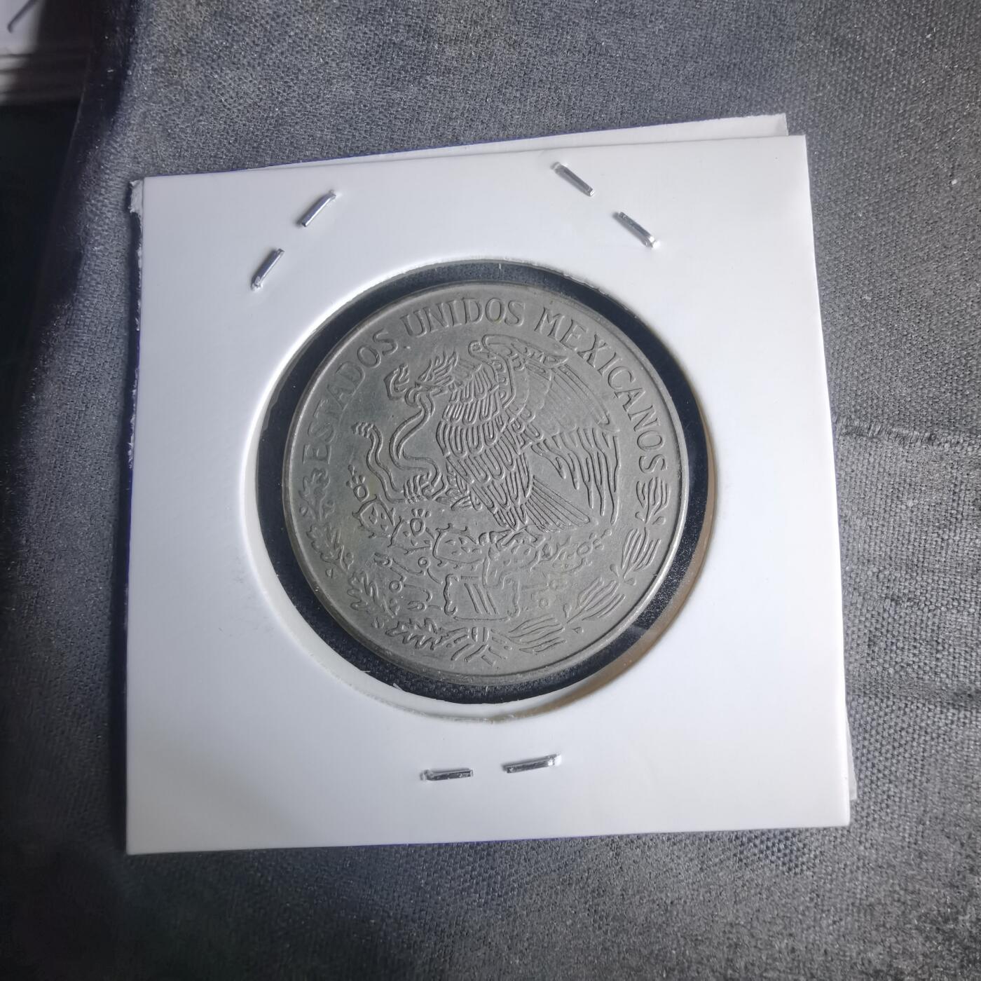 沼泽如烟--第975场