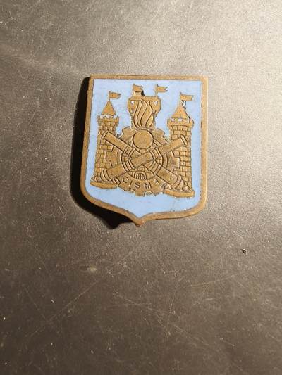 老王徽章第179期 - 法国陆军第1物资勤务训练中心证章