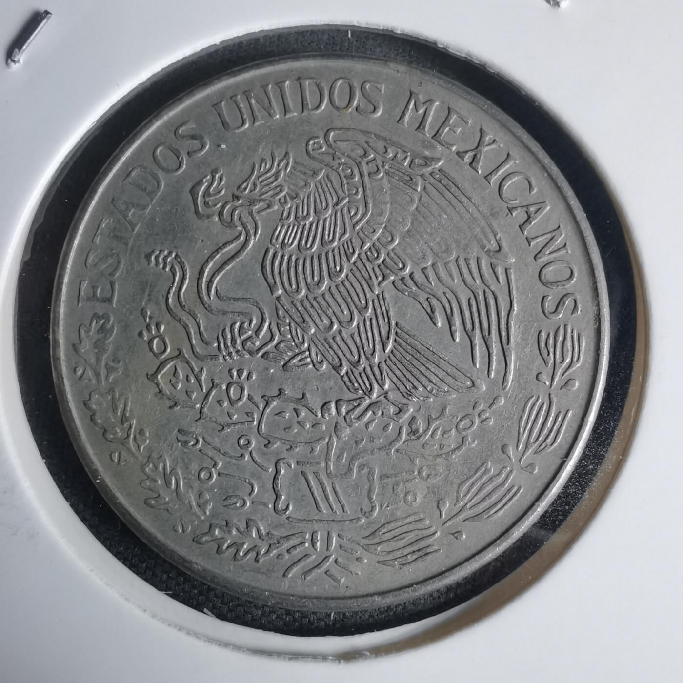 沼泽如烟--第975场