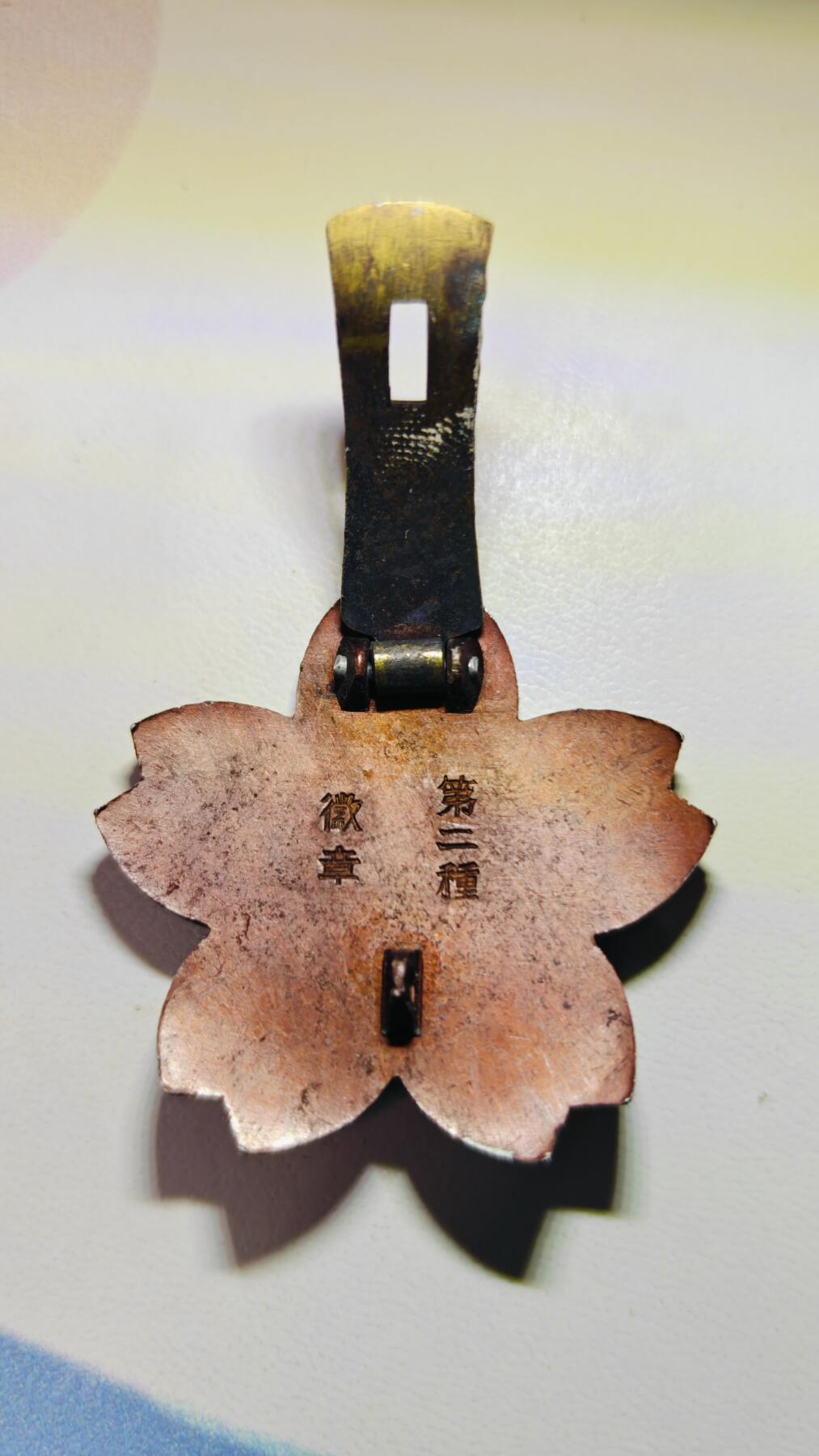 第二种铳剑技能章