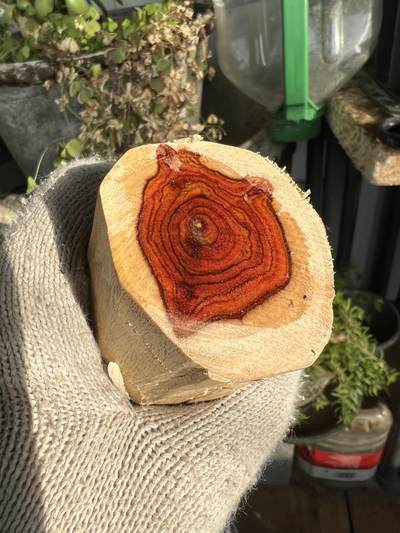 零元拍：  NO.11-1海南黄花梨 天然小狐狸有没有。尺寸约115/40/40MM - 零元拍：  NO.11-1海南黄花梨 天然小狐狸有没有。尺寸约115/40/40MM