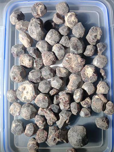 111期新疆红钱粟特钱币丝路钱币专场 - 2 石榴石原石