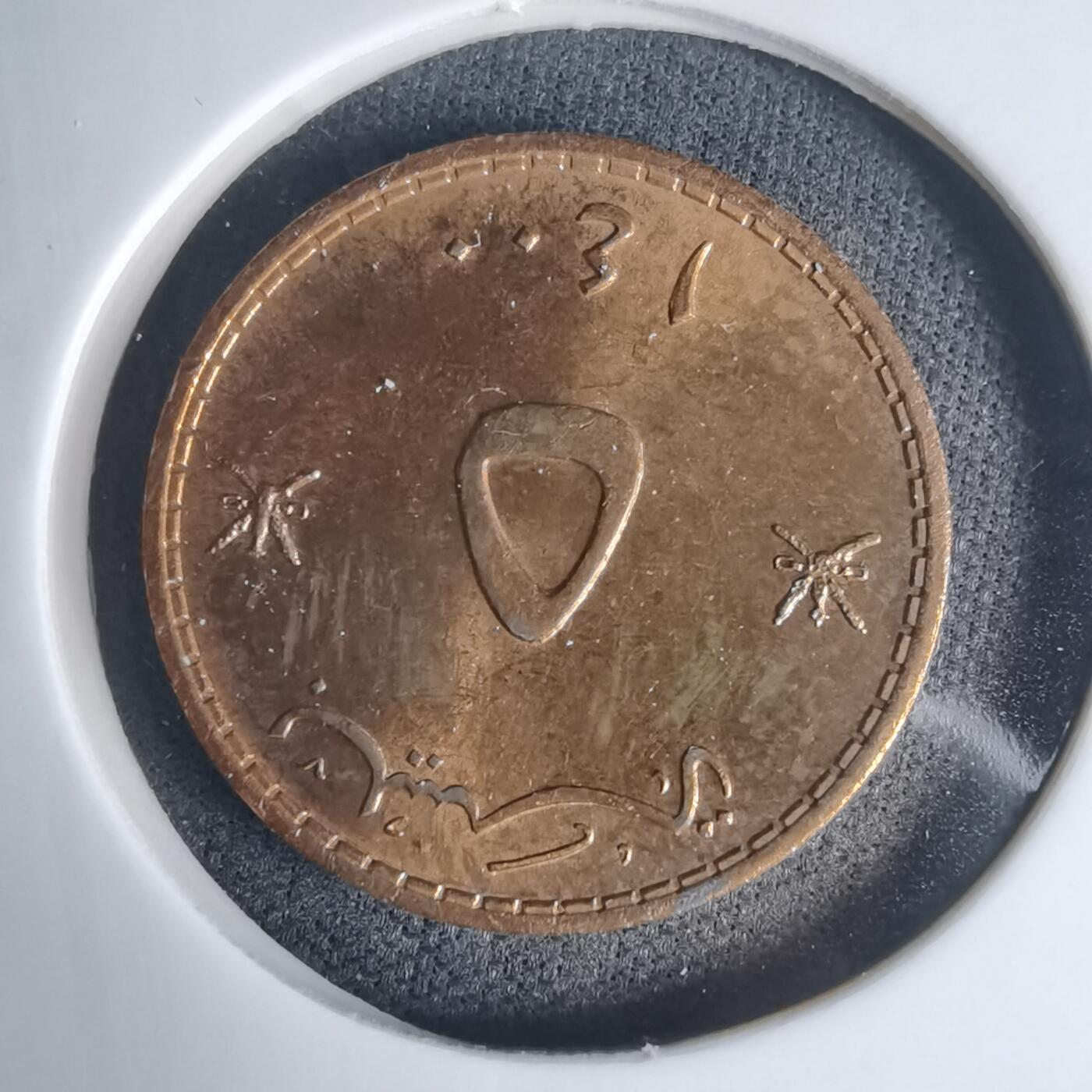 沼泽如烟--第975场