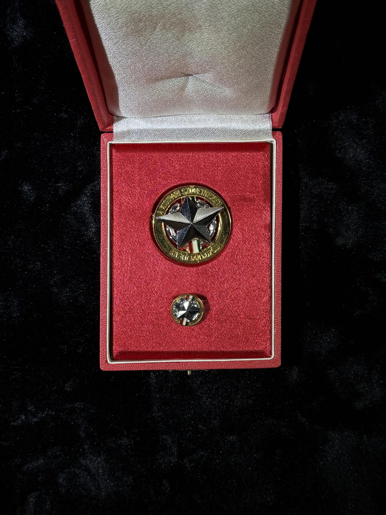 戎马世界章牌大赏第110期 工业合作社的优秀员工证章，带mini