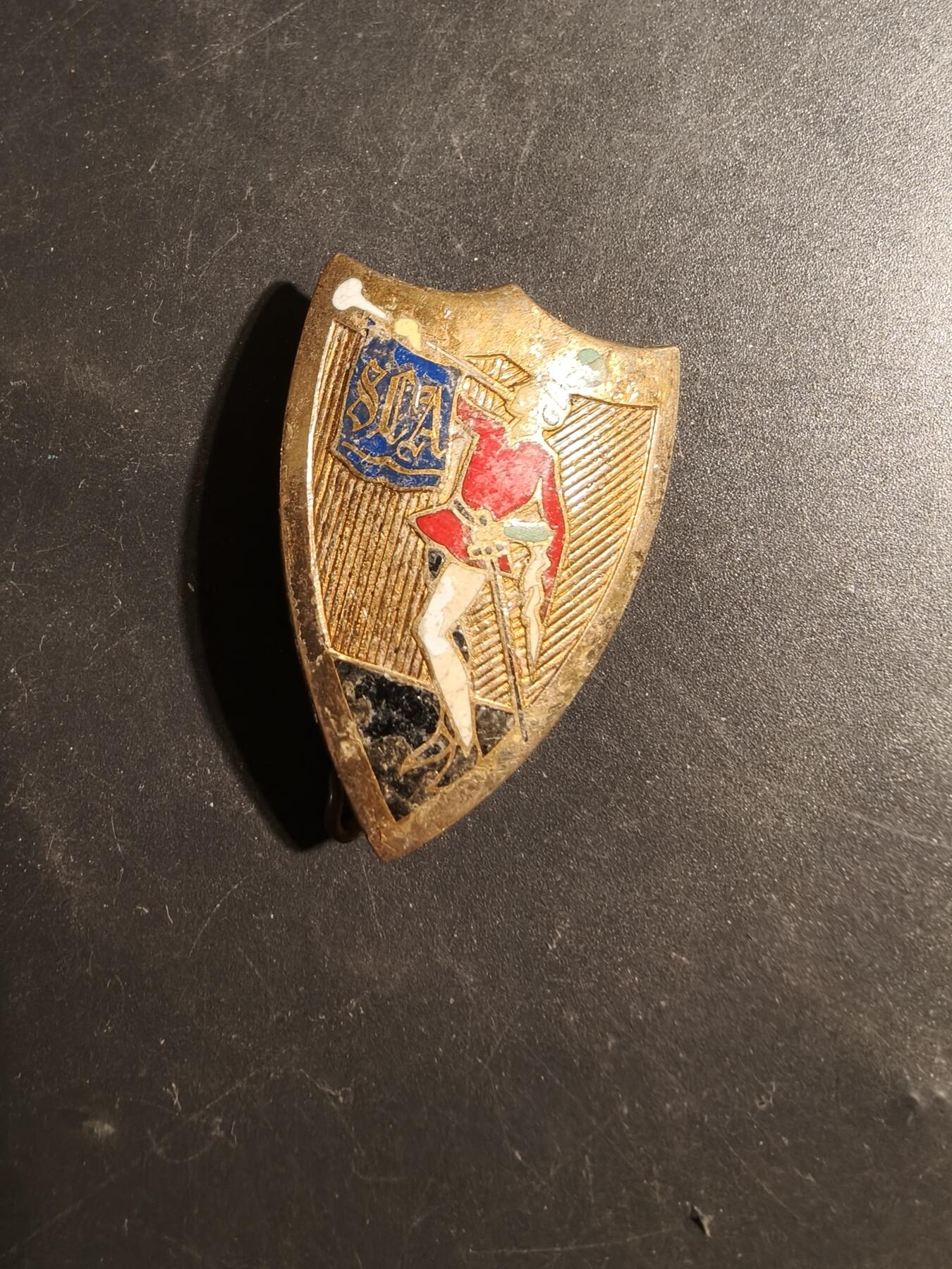 老王徽章第179期 法国军事消防员证章