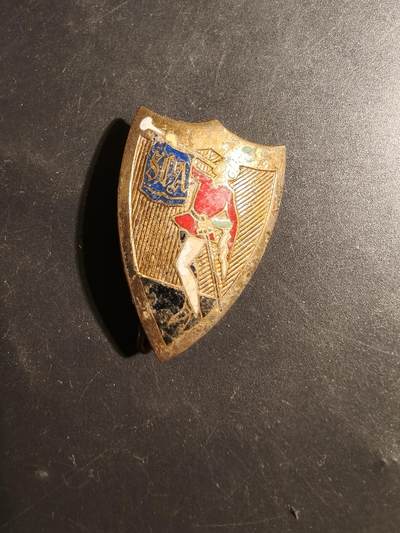 老王徽章第179期 - 法国军事消防员证章