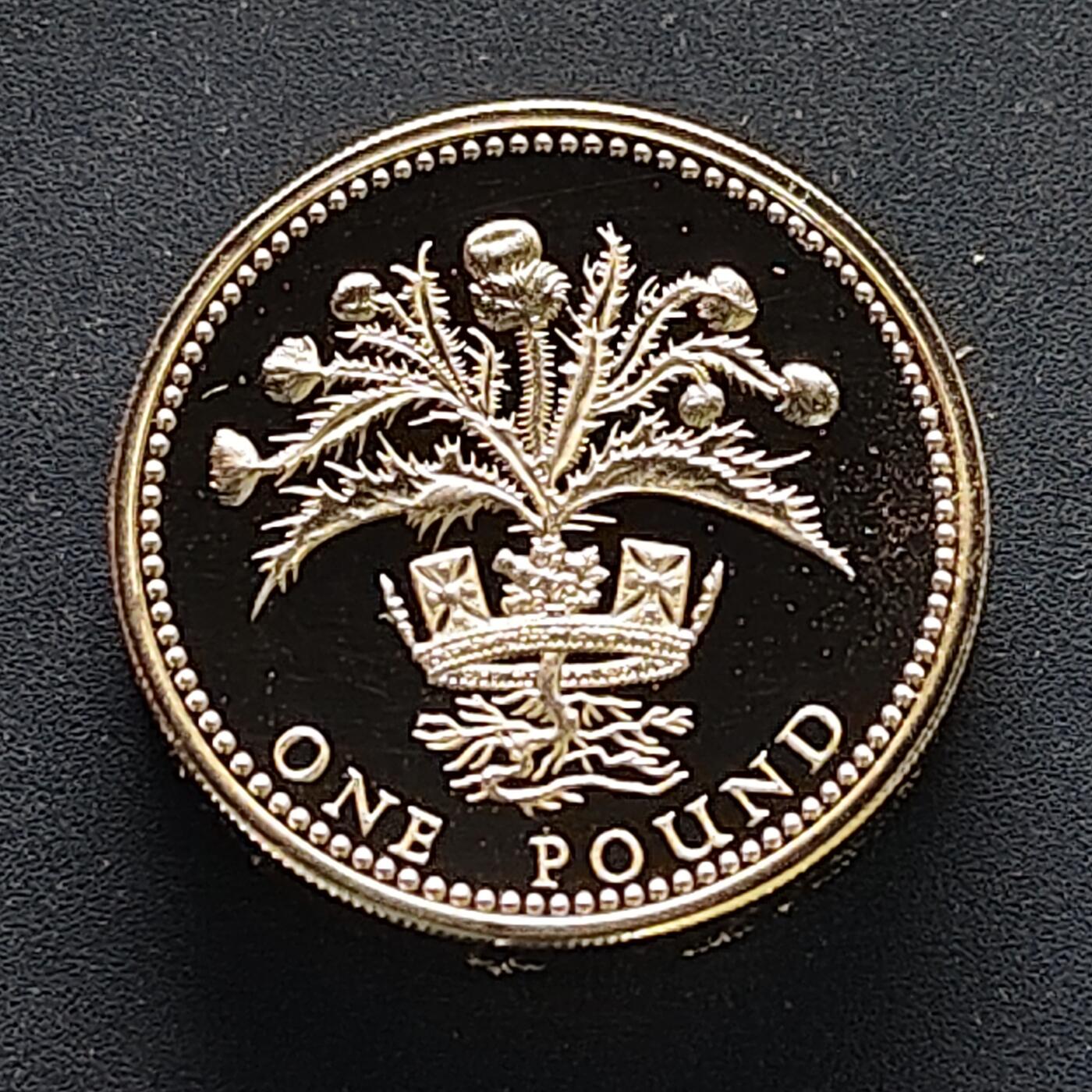 【全场包邮】纯粹捡漏拍499场-持续更新中 英国1984年1镑四邦国花系列苏格兰蓟花精制纪念银币【22.5毫米9.5克92.5%，纯银价约246元（按28元银价折算）】-盒证全