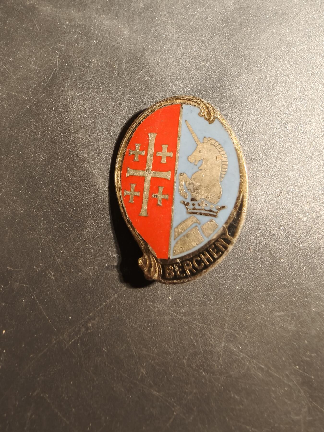 老王徽章第179期 法国第1伞降骠骑兵团证章