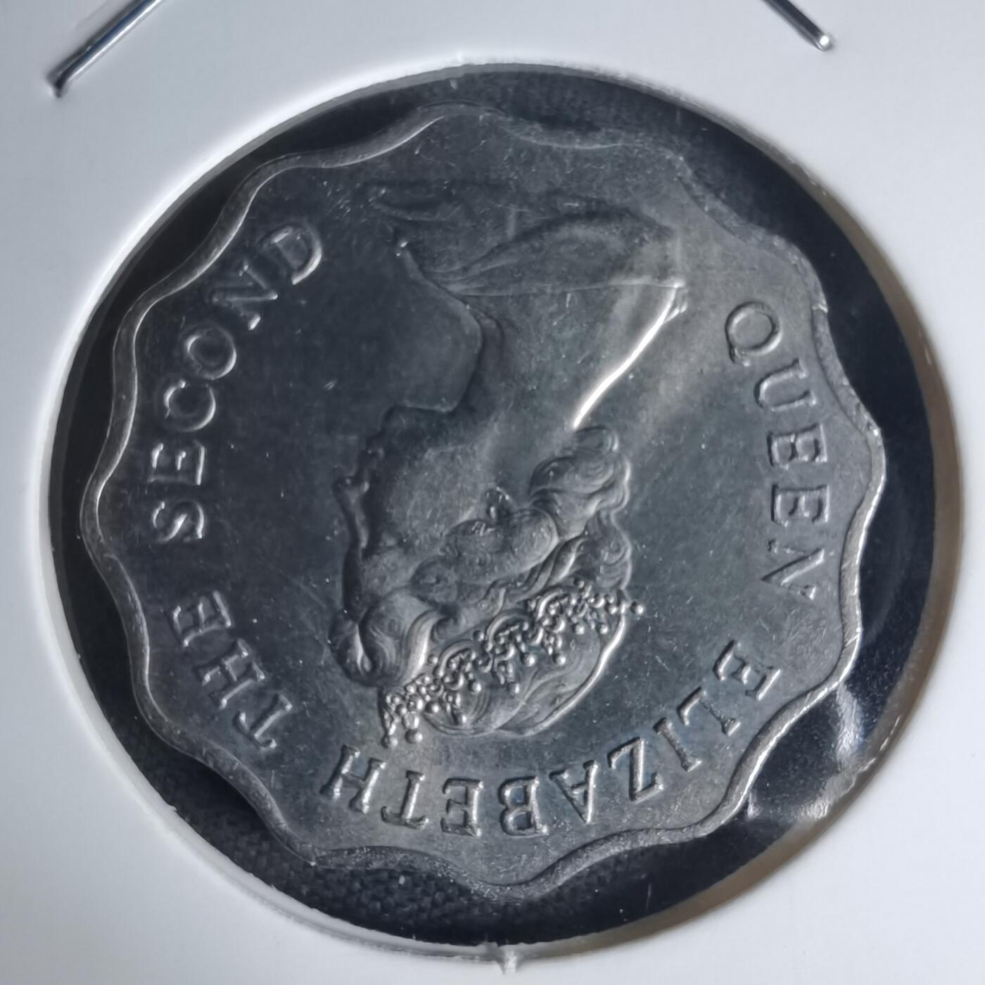 沼泽如烟--第975场