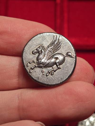 NGC评满分➕⭐Fine style古希腊雅典娜飞马银币 - NGC评满分➕⭐Fine style古希腊雅典娜飞马银币