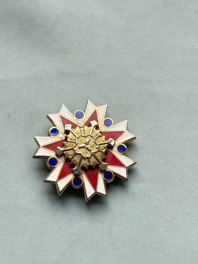 盛世勋华——号角文化勋章邮票专场拍卖第303期 - 日本北海当自治体消防25周年纪念徽章