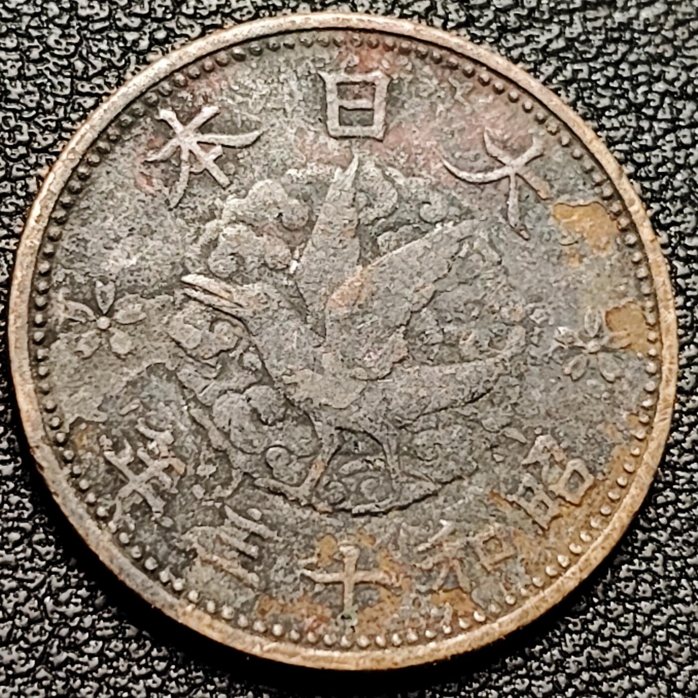 泉币菌-第175场- 精品福利场 。