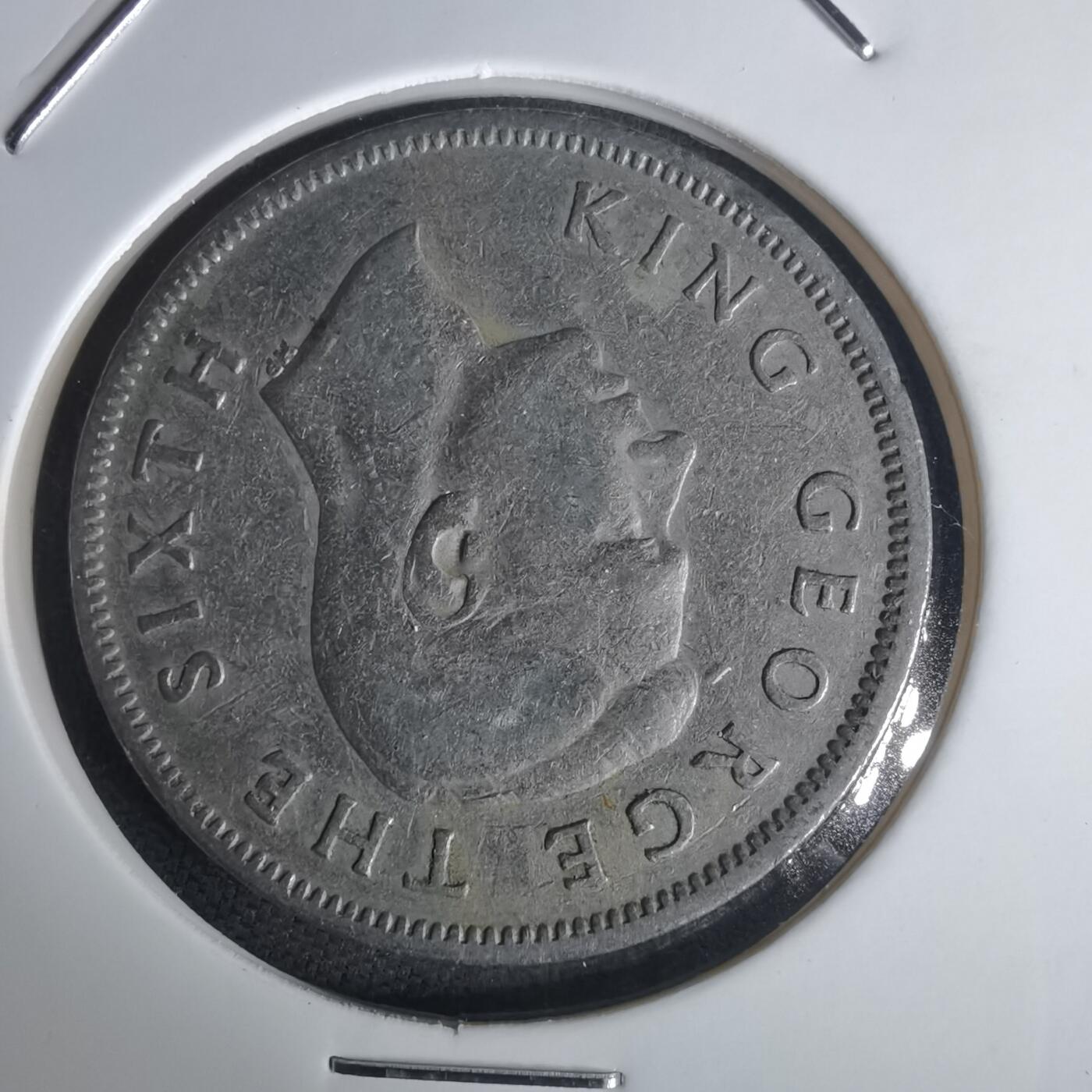 沼泽如烟--第977场