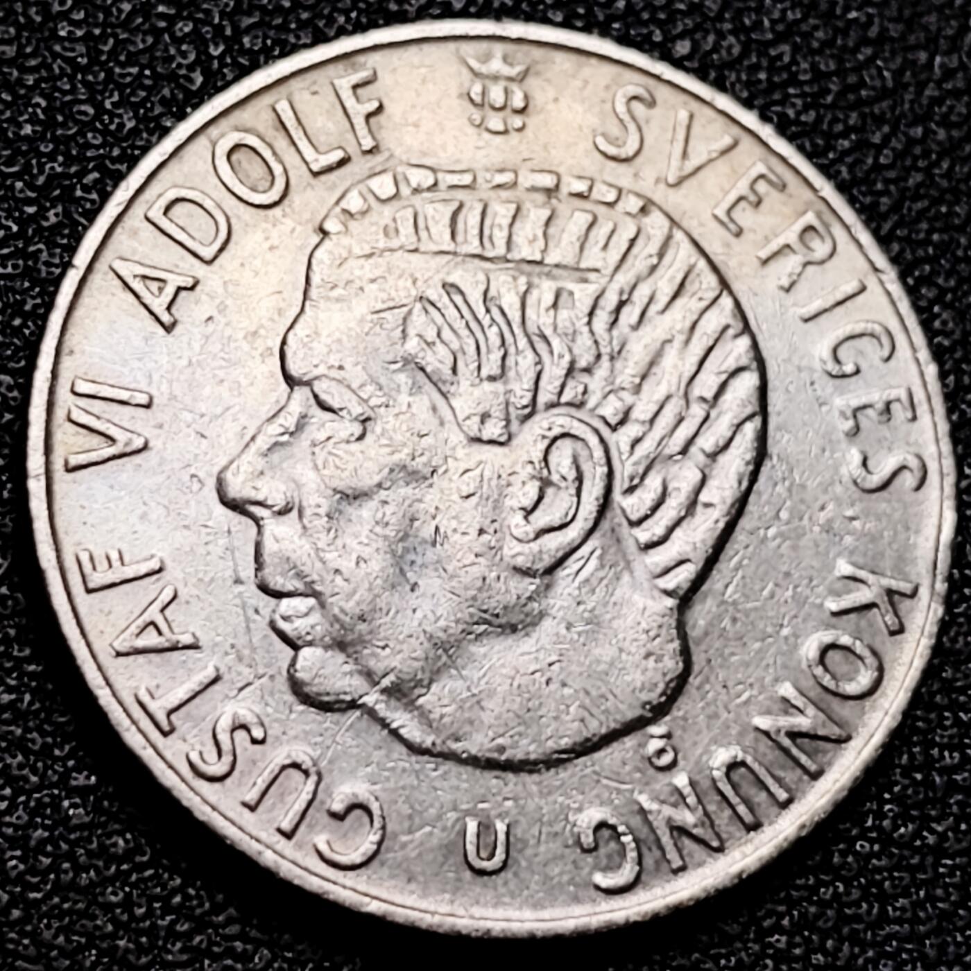 泉币菌-第175场- 精品福利场 。