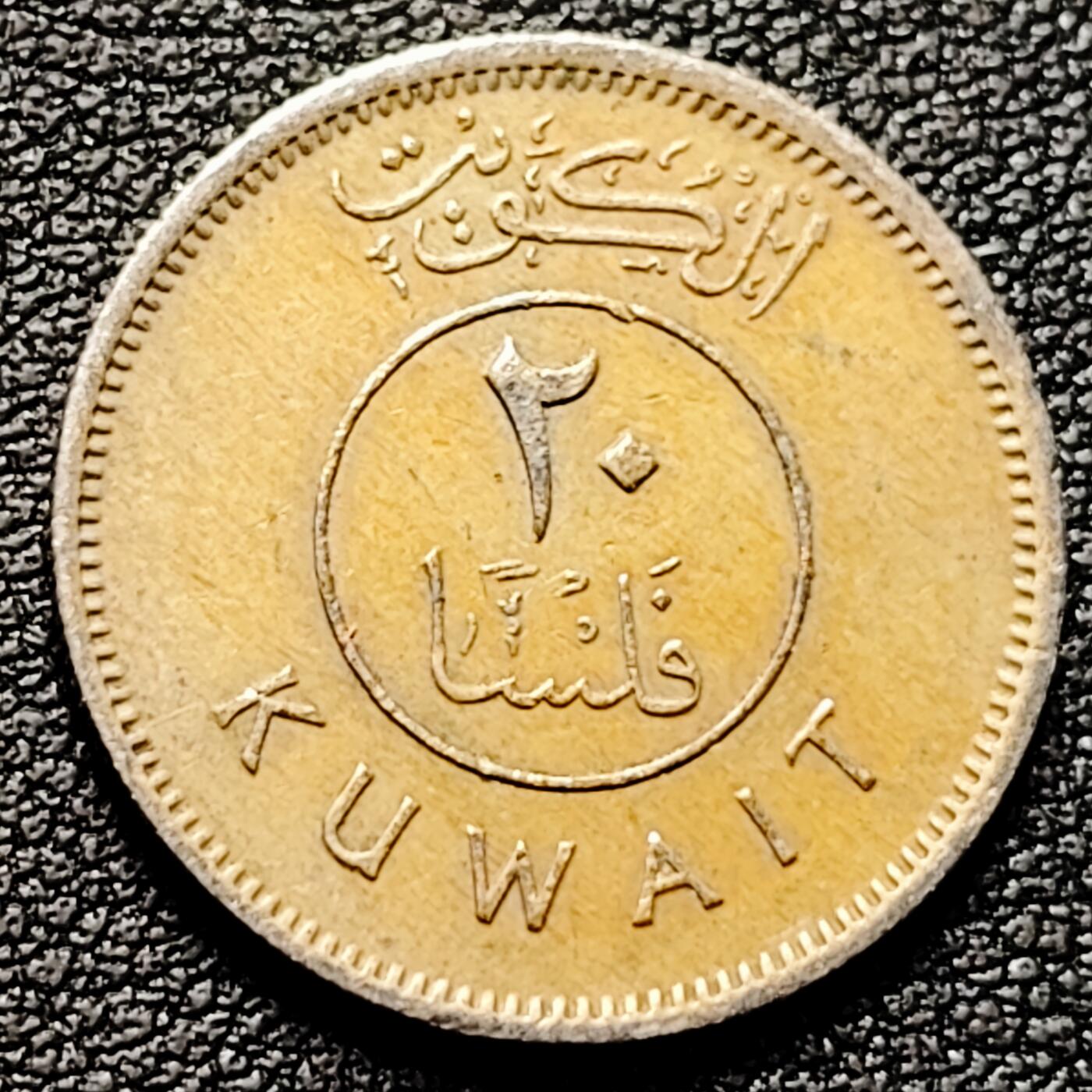 泉币菌-第176场- 精品福利场 。