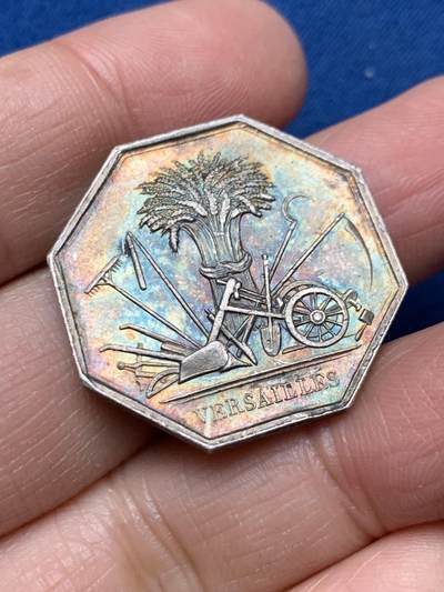 《竞宝斋》第462场 周日，周一，2场连拍 （全场包邮）欢迎送拍 - 法国凡尔赛皇家农业、园艺、渔业和狩猎公司八角银质代币，11.67g，29mm，蜜蜂银标。