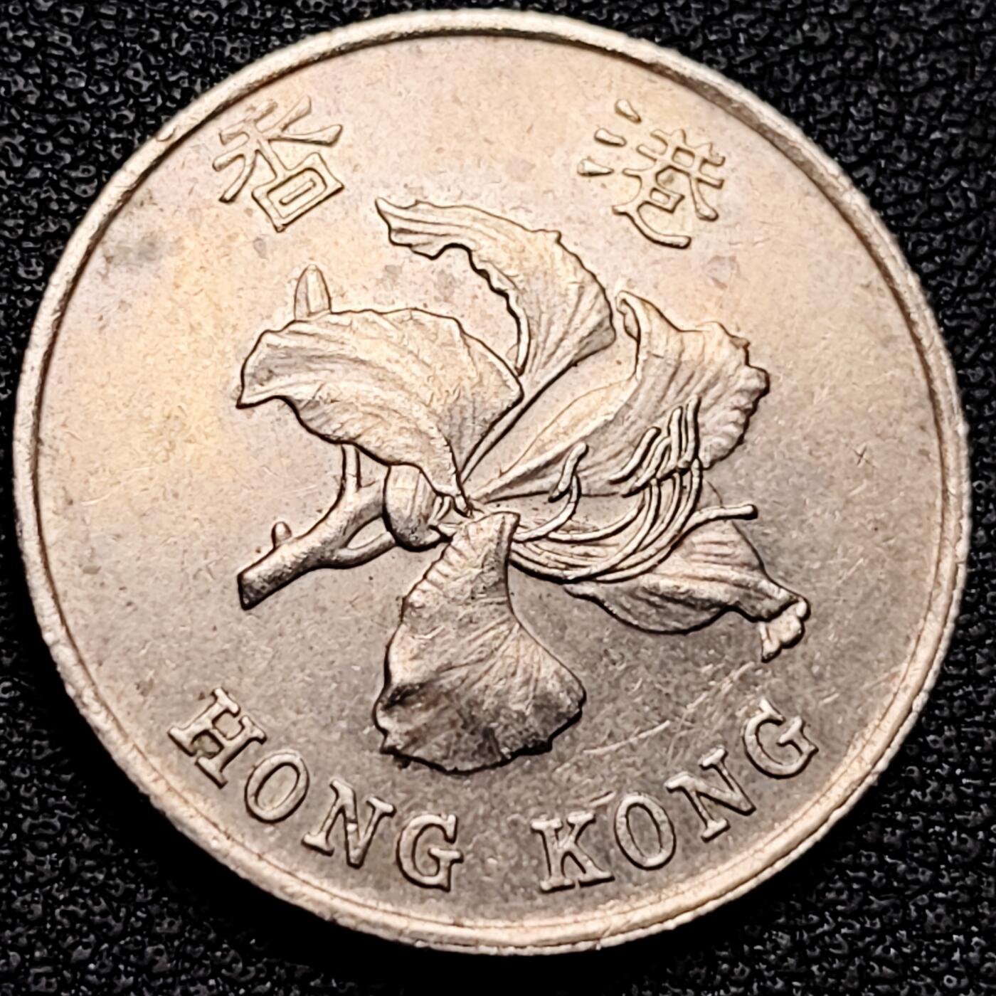 泉币菌-第176场- 精品福利场 。