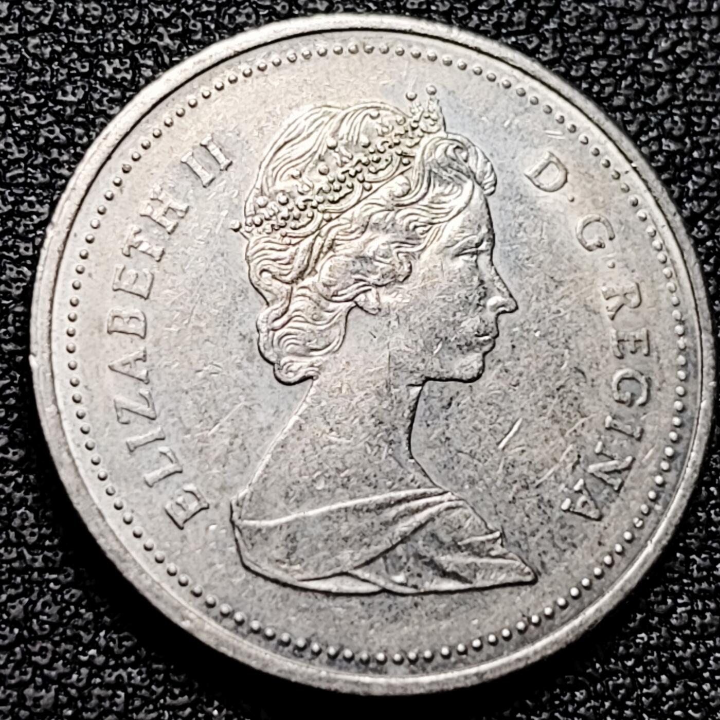 泉币菌-第175场- 精品福利场 。