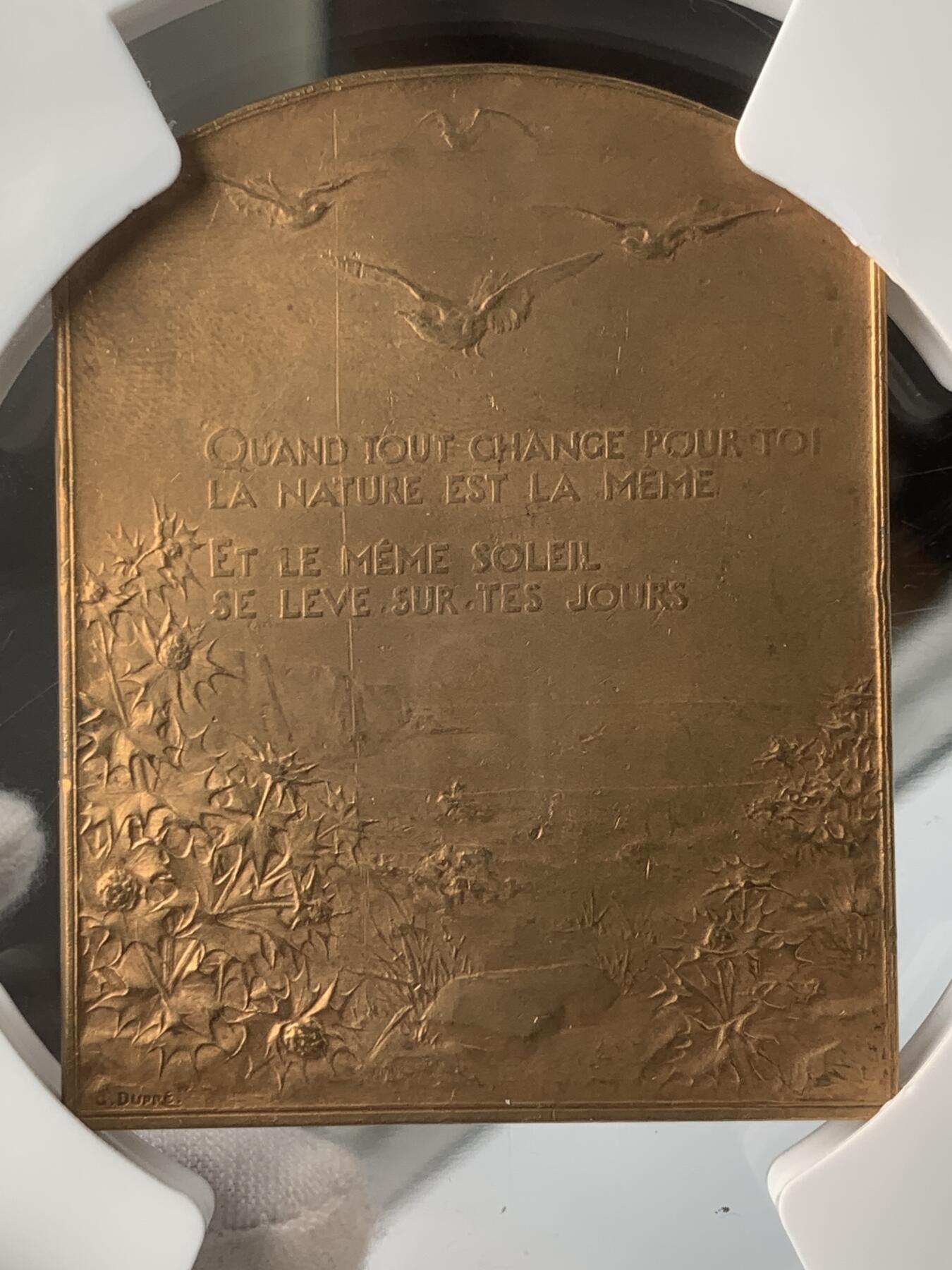 掌中浮雕-藏着的欧洲第051场 1900年法国“致敬太阳”纪念铜章，64 X50mm