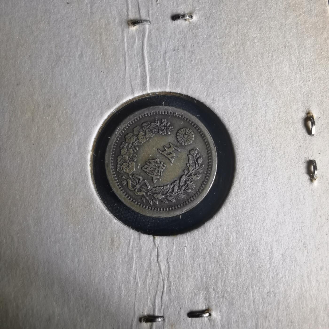 沼泽如烟--第977场