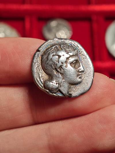 评级古希腊雅典娜和狮子银币 - 评级古希腊雅典娜和狮子银币