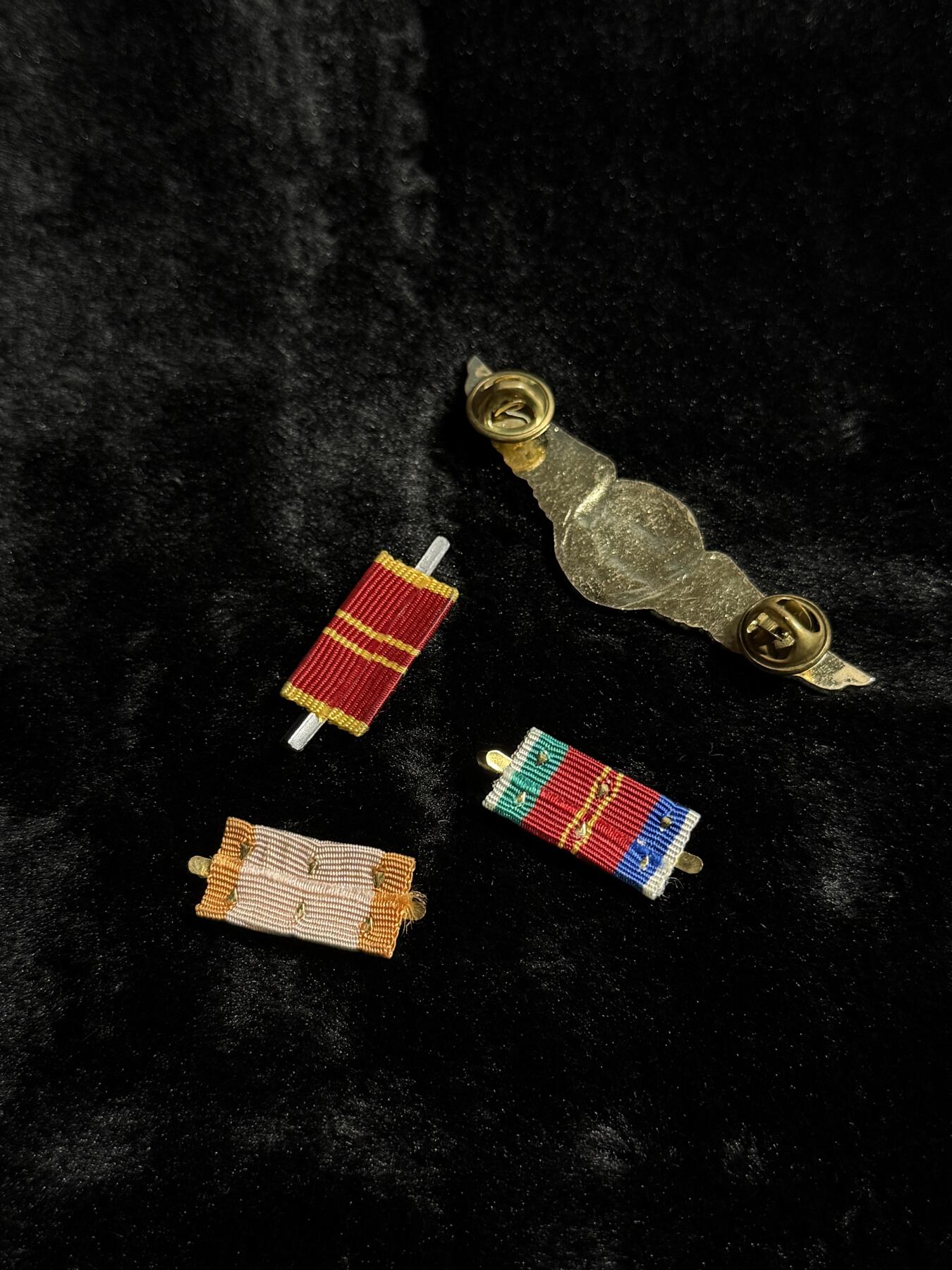 戎马世界章牌大赏第110期