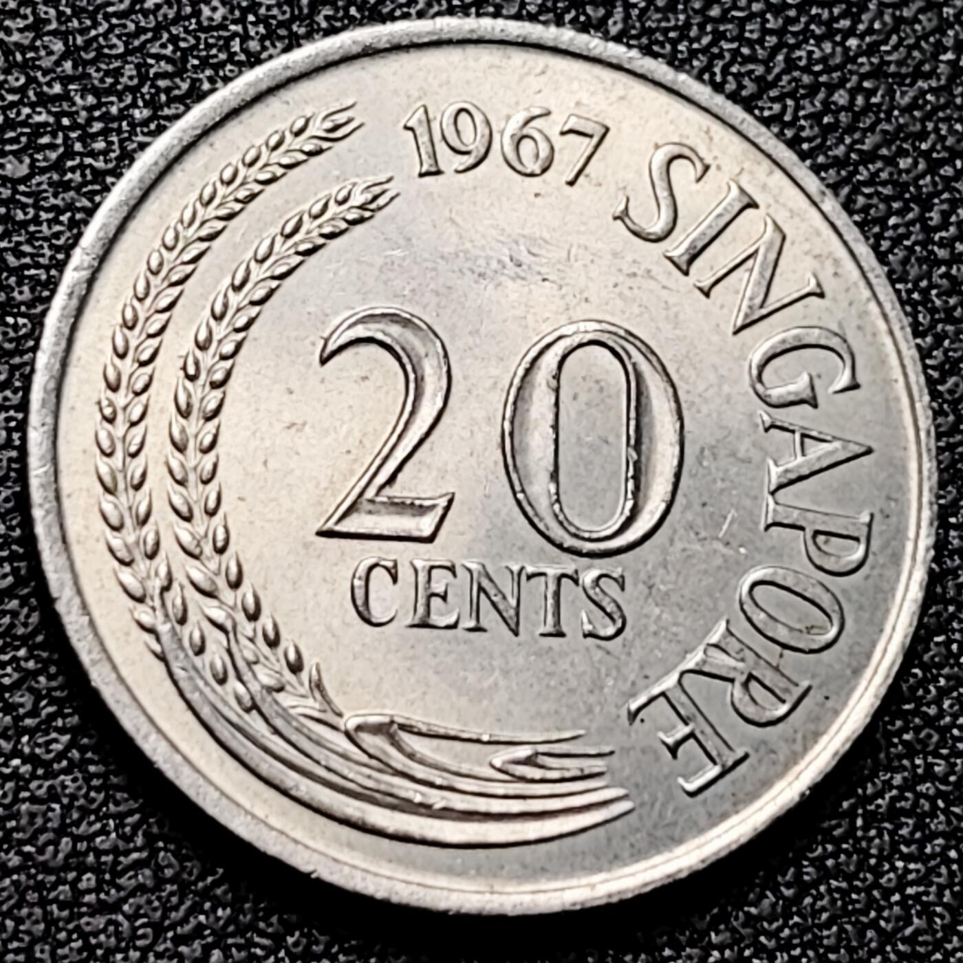 泉币菌-第176场- 精品福利场 。