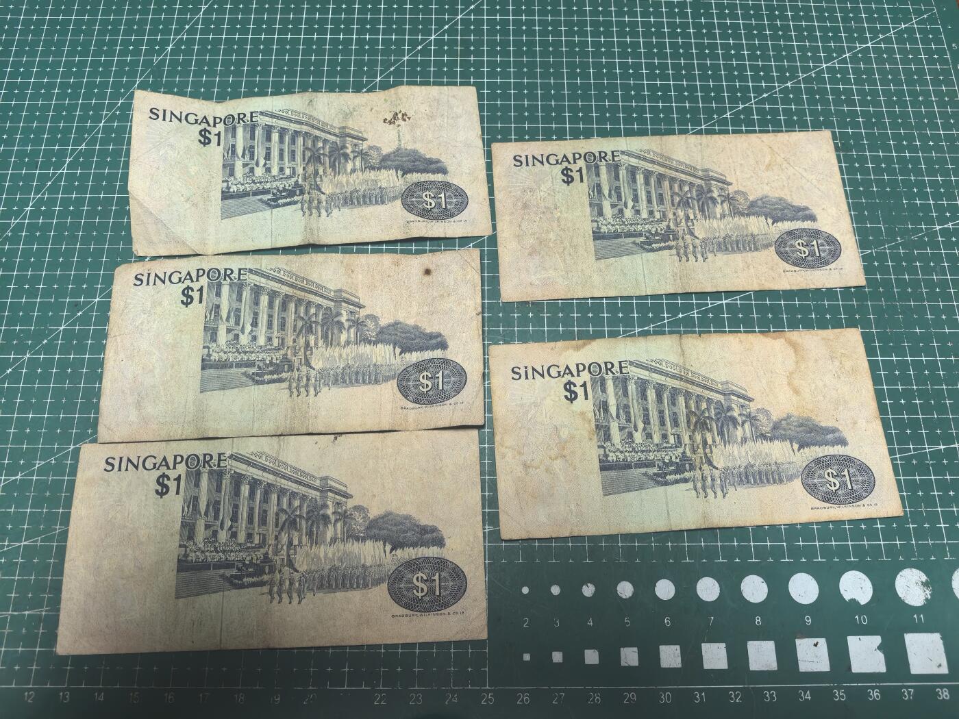 轻松集币无压力 新加坡鸟版1/组