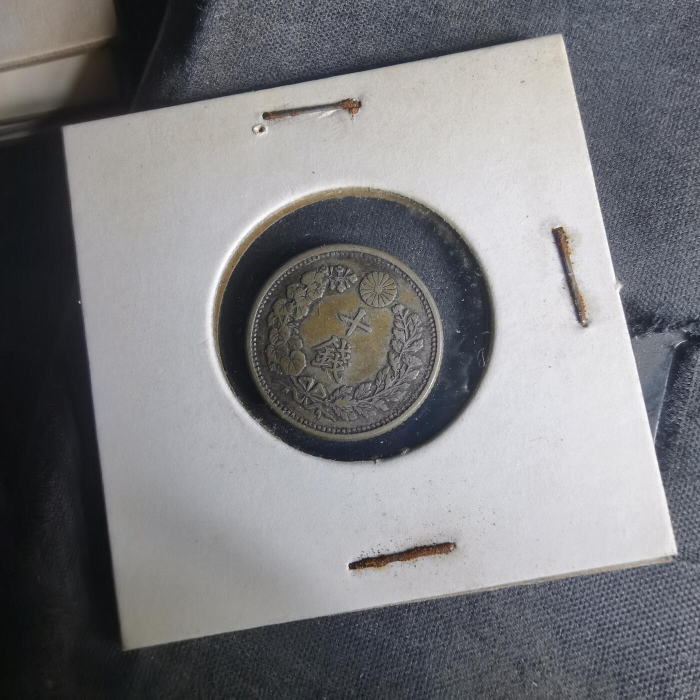 沼泽如烟--第977场