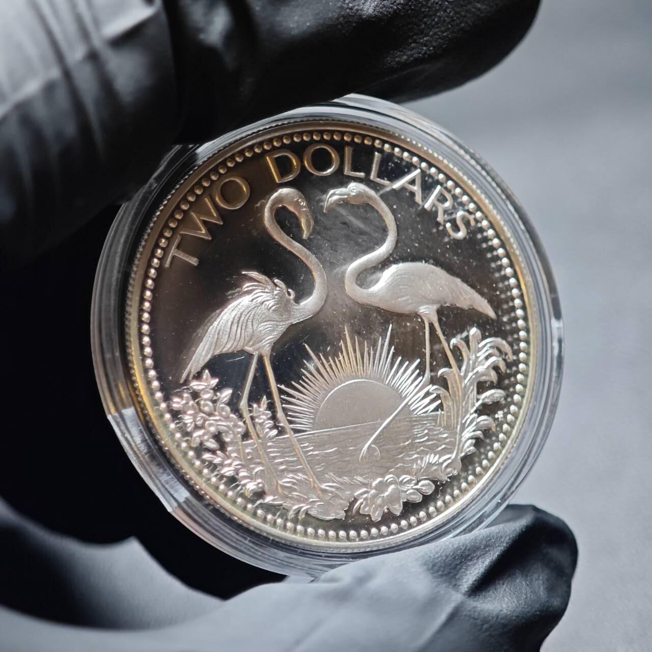 金瓯小拍第三期 古今币章 银价专场 巴哈马双火烈鸟精制银币1974年 33.3克