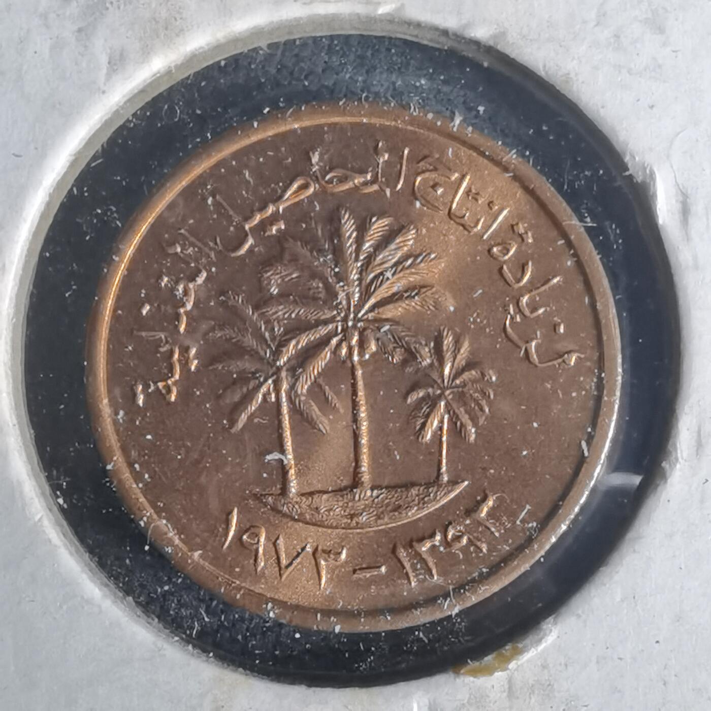 沼泽如烟--第977场 阿联酋