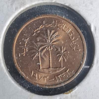 沼泽如烟--第977场 - 阿联酋