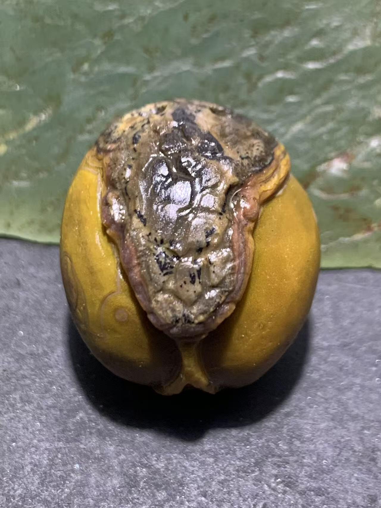 精美亚光原皮天眼纹战国红玛瑙手工俏色巧雕双头蛇吊坠一个，