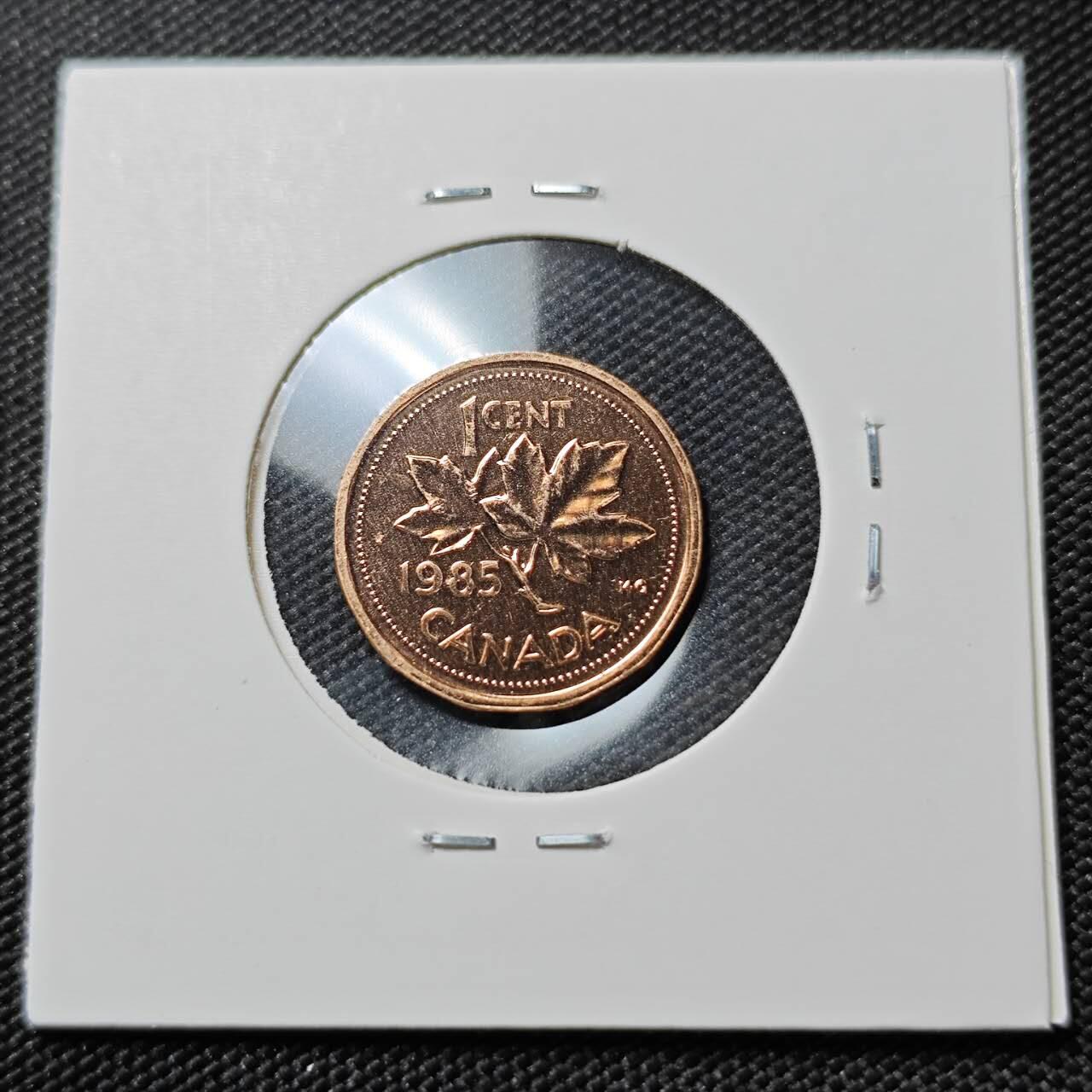 KK钱币收藏小铺  第390期  2月预留时间 周末发货  1985加拿大1分精制币