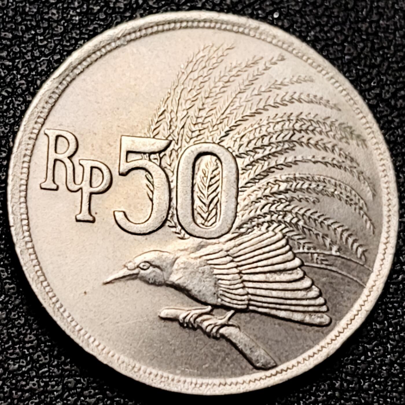 泉币菌-第175场- 精品福利场 。