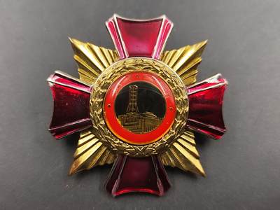 1月25日徽章钱币专场 - 乌克兰切尔诺贝利事件奖章