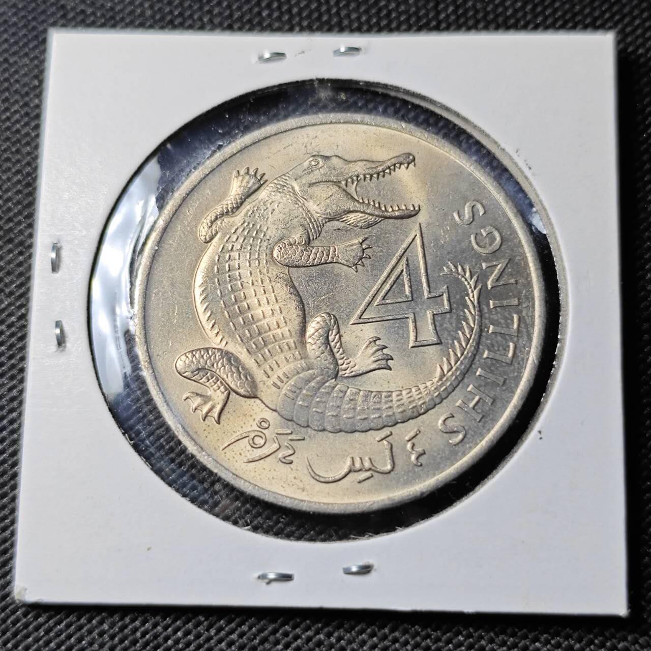 KK钱币收藏小铺  第400期  百期特拍（四拍之四）2月预留时间 周末发货  1966英属冈比亚4先令 好品