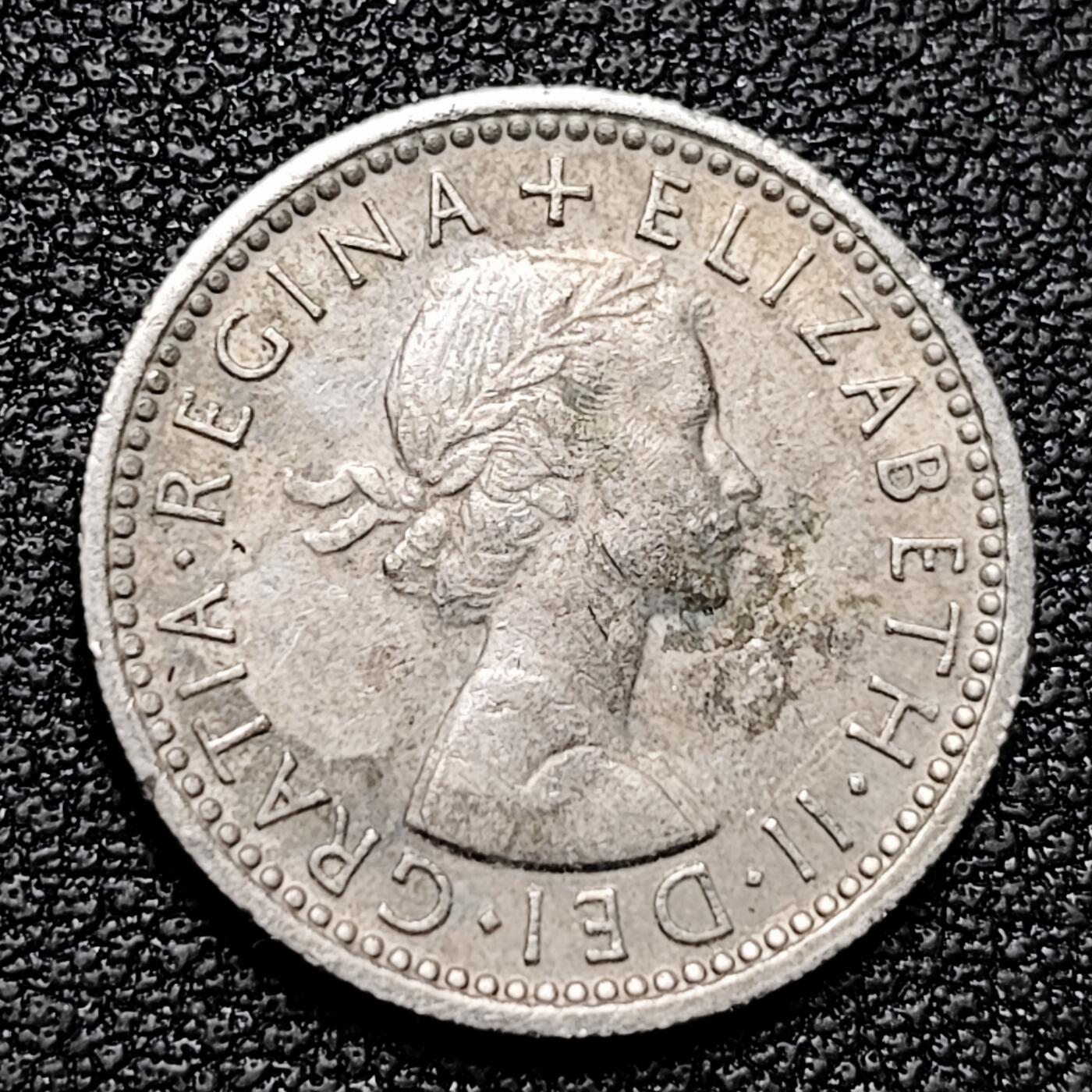 泉币菌-第176场- 精品福利场 。