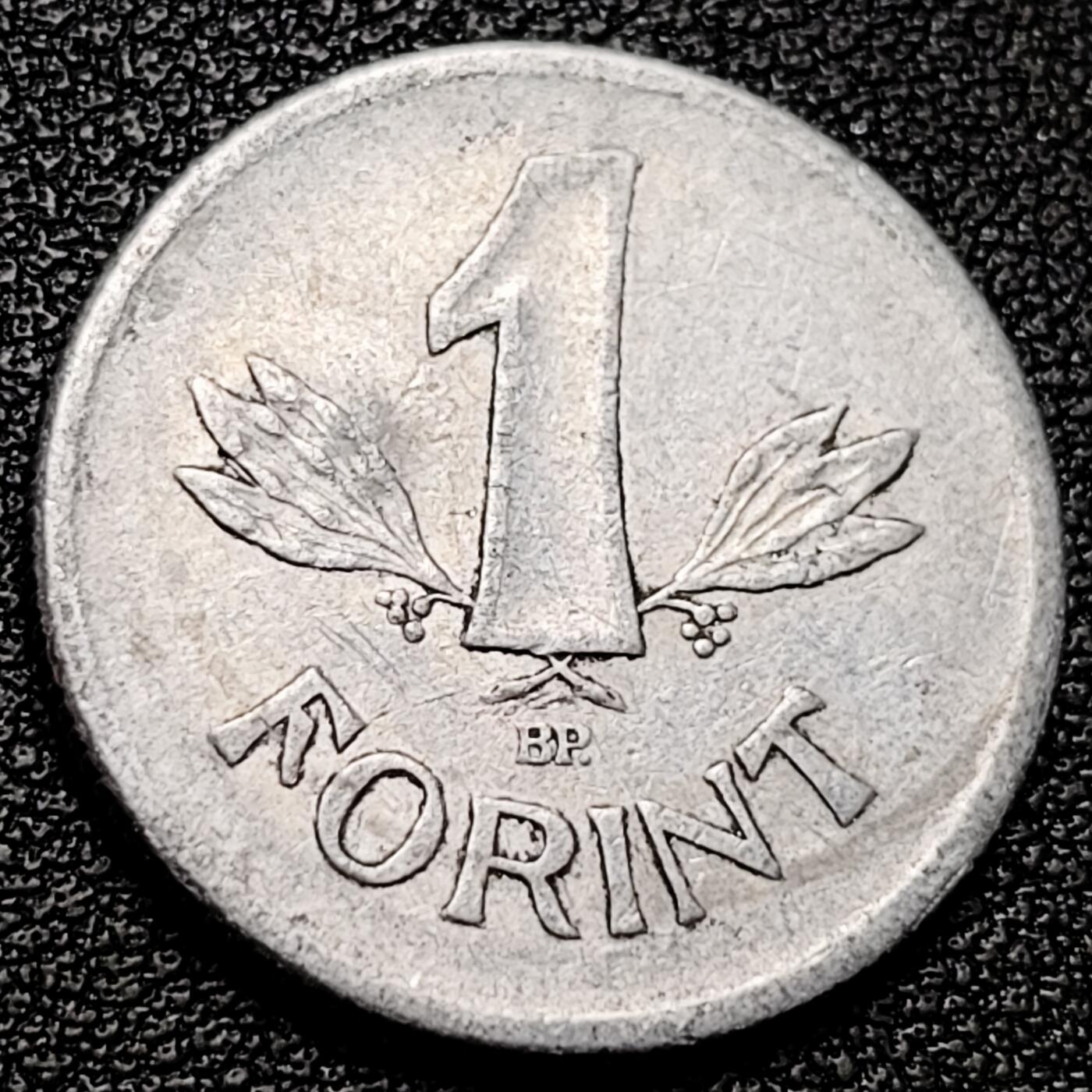 泉币菌-第175场- 精品福利场 。