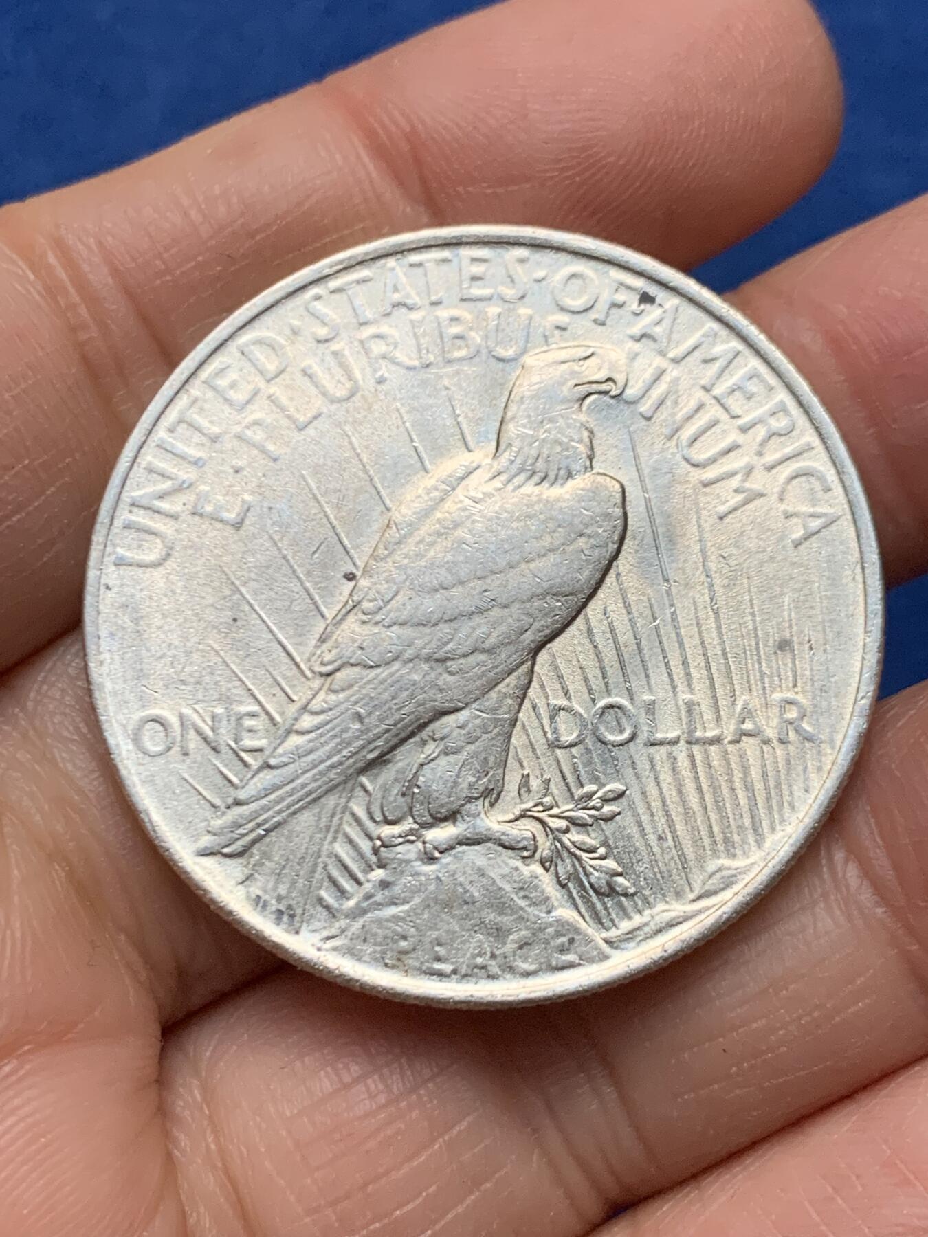 《竞宝斋》第462场 周日，周一，2场连拍 （全场包邮）欢迎送拍 美国1922年和平银币 26.6克