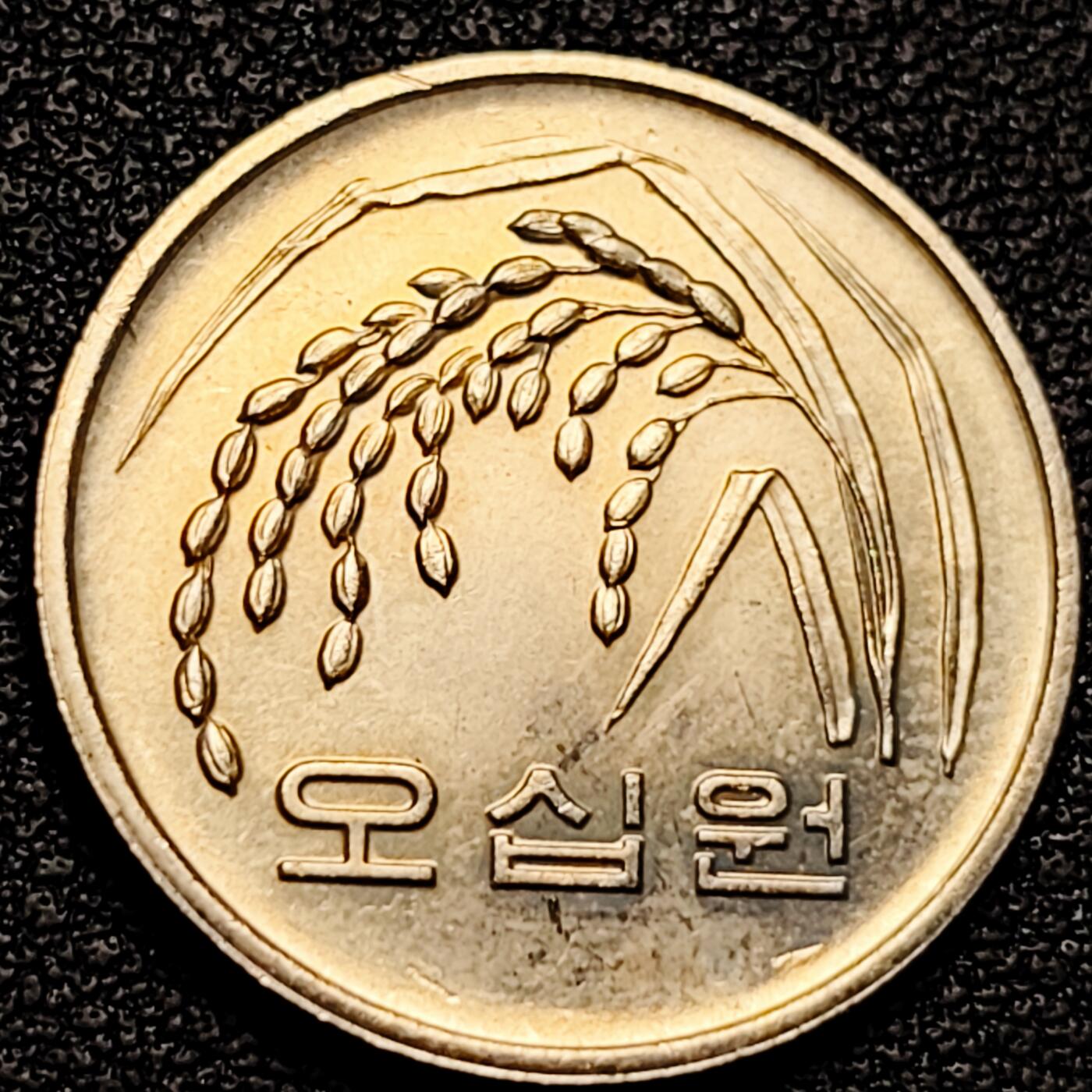 泉币菌-第175场- 精品福利场 。