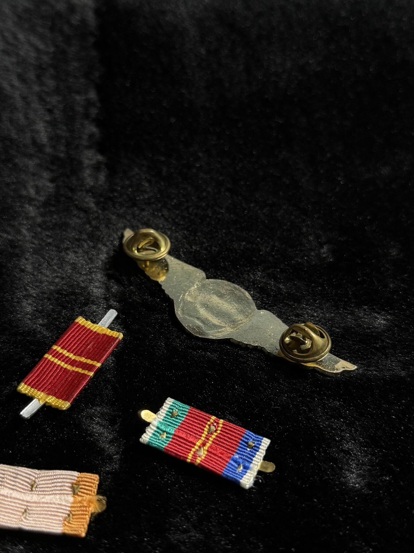 戎马世界章牌大赏第110期