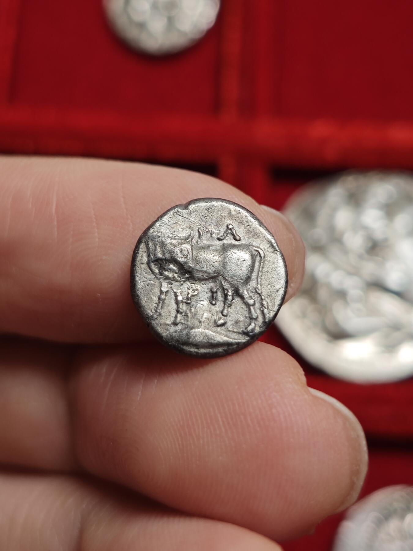 评级古希腊海妖美杜莎银币