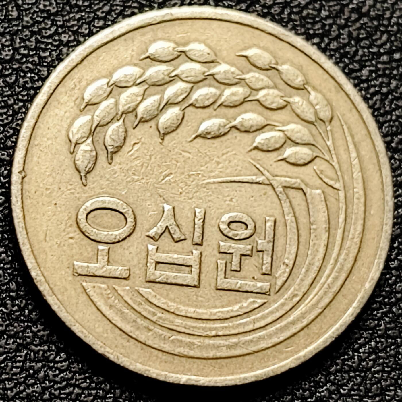 泉币菌-第175场- 精品福利场 。