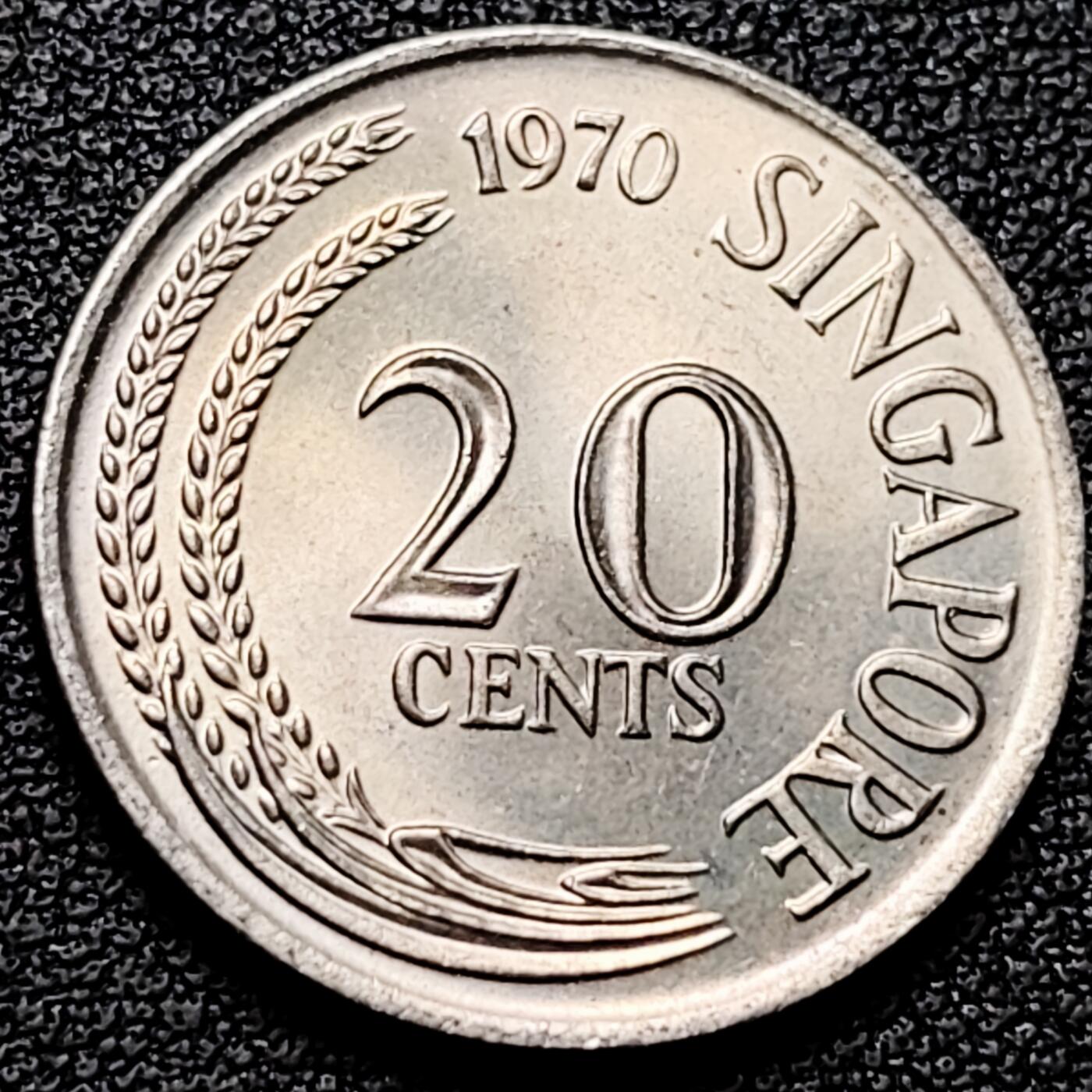 泉币菌-第176场- 精品福利场 。