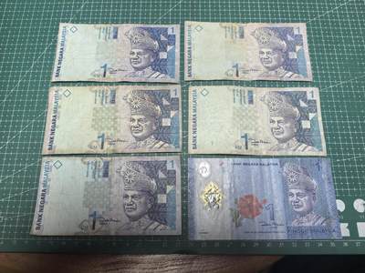 轻松集币无压力 - 马来西亚1林吉特/组