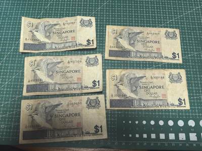 轻松集币无压力 - 新加坡鸟版1/组