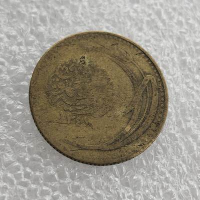 外国优质老铜币高银银币，周六九点倒数截拍，满百包邮，持续收拍 - 土耳其1923年100库鲁黄铜铜币，正面铸星月与阿拉伯文纹饰，背面配面值、麦穗 / 橡叶图案，伊斯兰风格浓郁。百年包浆自然醇厚，品相完整，是中东古币收藏的特色佳品，历史与收藏价值兼具。