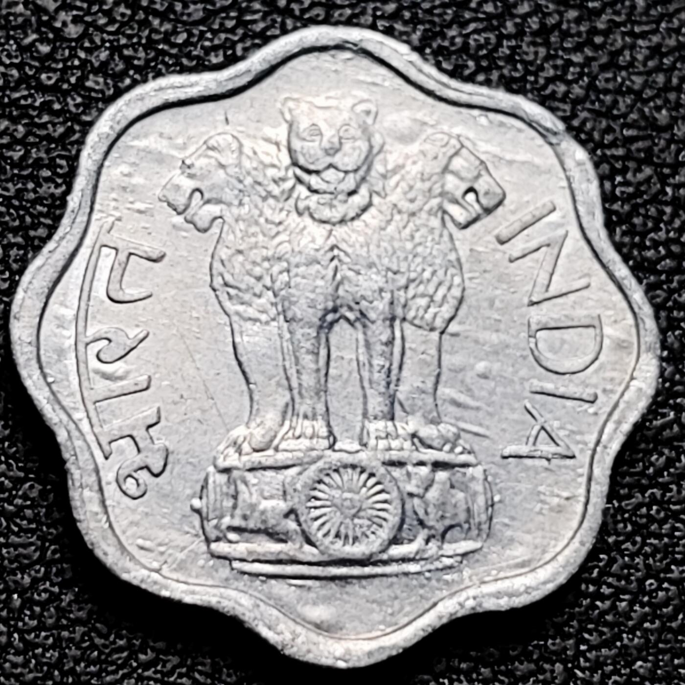 泉币菌-第176场- 精品福利场 。